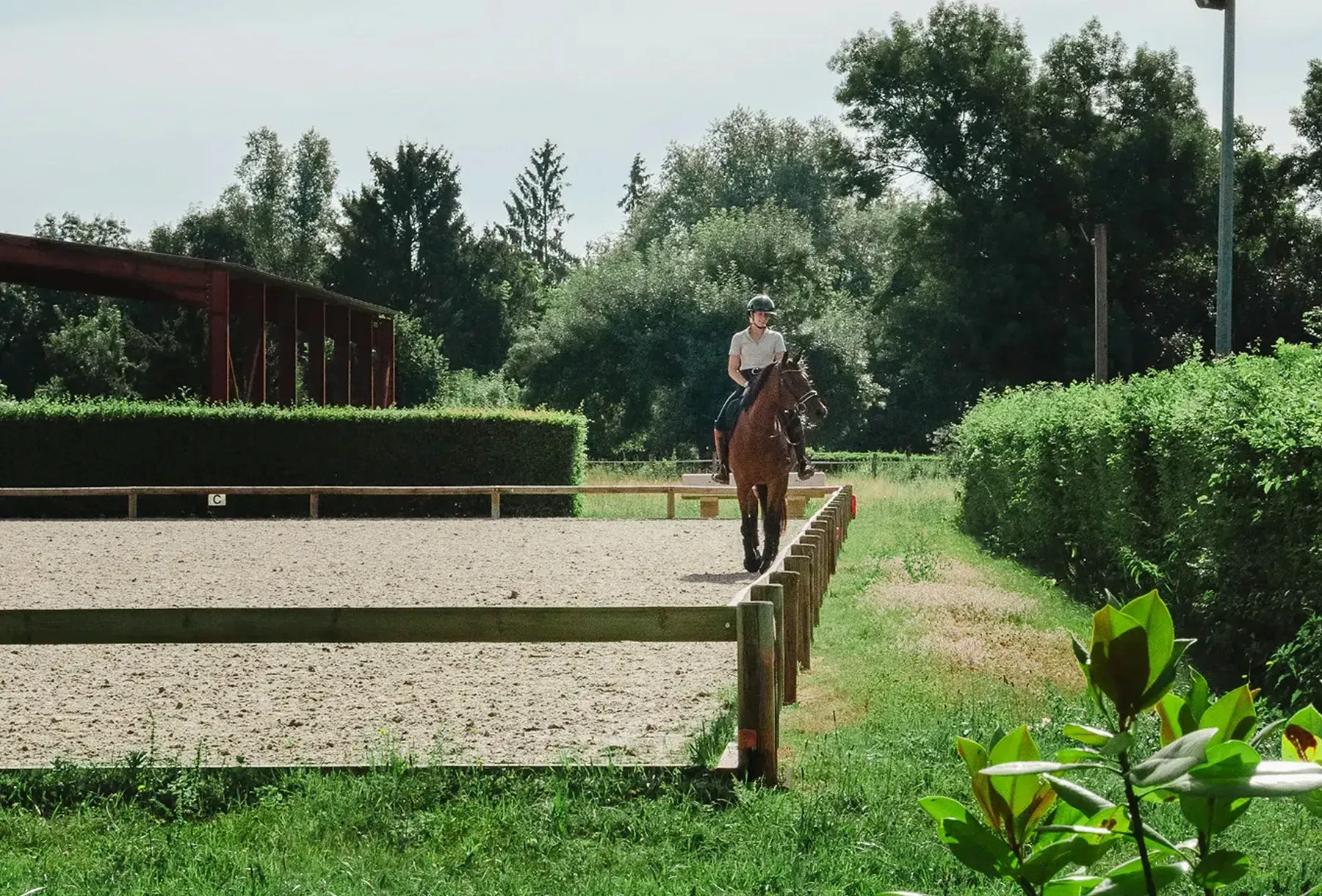 Vue de la grande carrière et du manège de l'Écurie de l'Arquebuse sur 9.5 ha