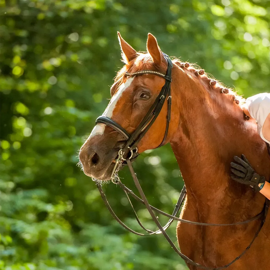Photo de profil de Justine Faure